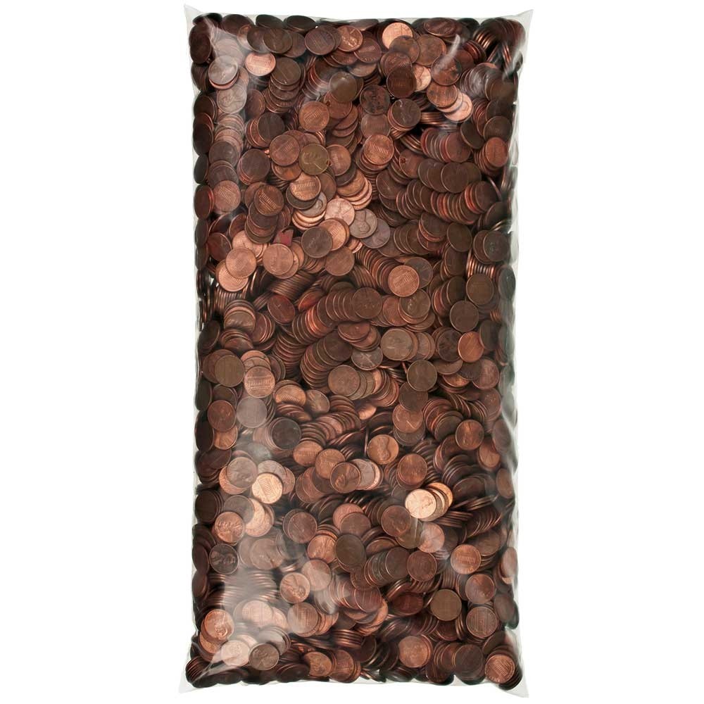 Self Sealing Coin Bags - 9W x 17H - Case of 500