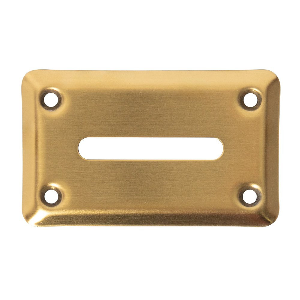 Toke Slot Cover for Casino Table Games Shown in Anodized Brass