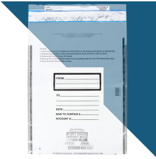 Front View of 15W x 20H Ultima Blue® Money Bags E Bag