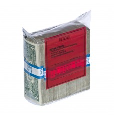 Tamper Evident 10 Strap Cash Bags with Red Block - 8-1/2W x 8H x 3D - Case of 1000