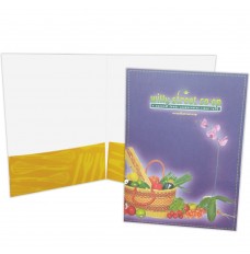 Value Priced 9W X 12H Imprinted Heavy Coverage 4-Color Process  Presentation Folders