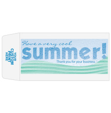 2 Color Pre-Designed Teller Envelopes - Have a Very Cool Summer, Coin style bank envelopes