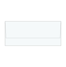 Blank Outer Currency Gift Envelopes with Latex Seal 6-3/4W x 3-1/8H (500/box)