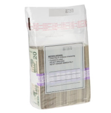 Tamper Evident 10 Strap Cash Bags - 8-1/2W x 8H - Case of 1500