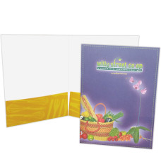 Value Priced 9W X 12H Imprinted Heavy Coverage 4-Color Process  Presentation Folders