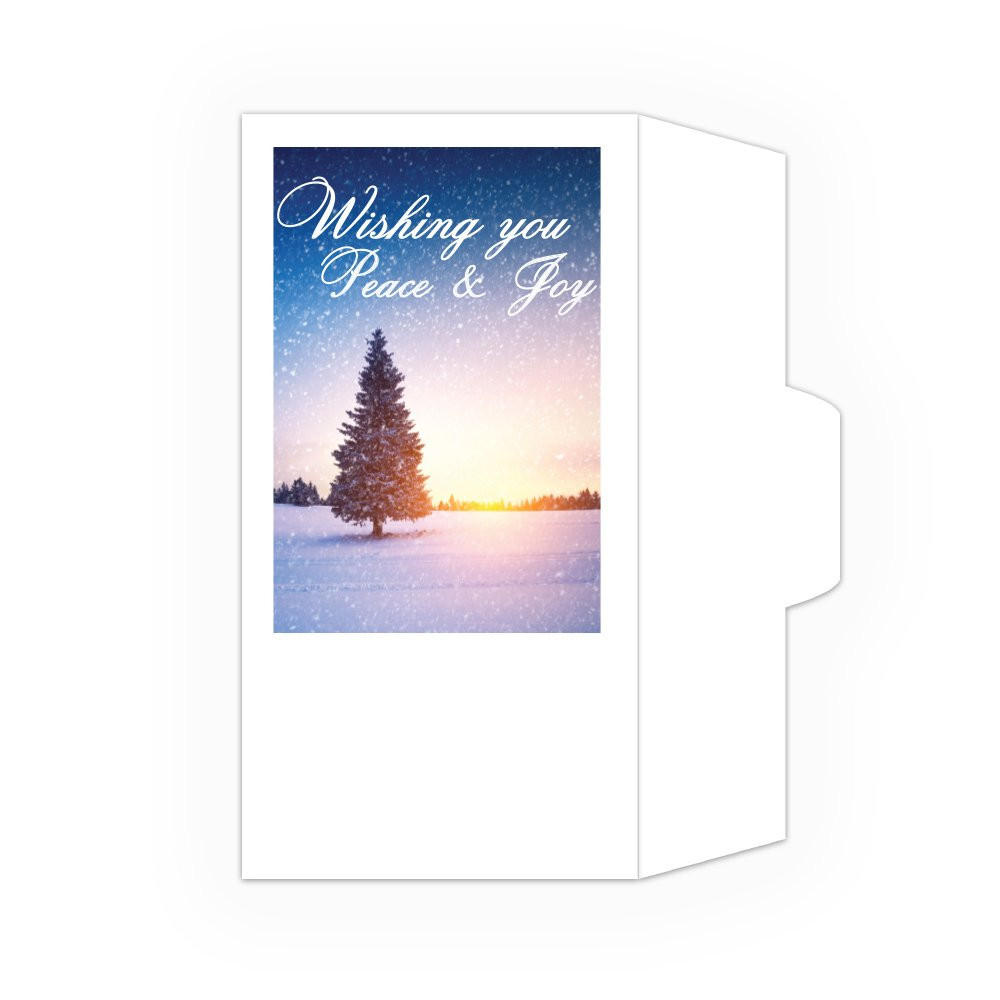 Holiday Drive Up Envelope - Peace & Joy - Full Color Open Side - No Imprint 