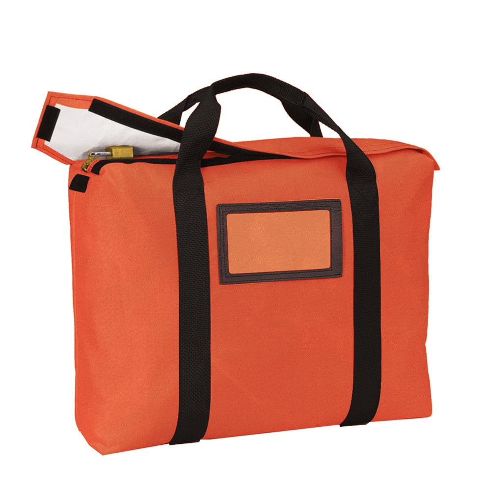 Fire resistant locking bags 