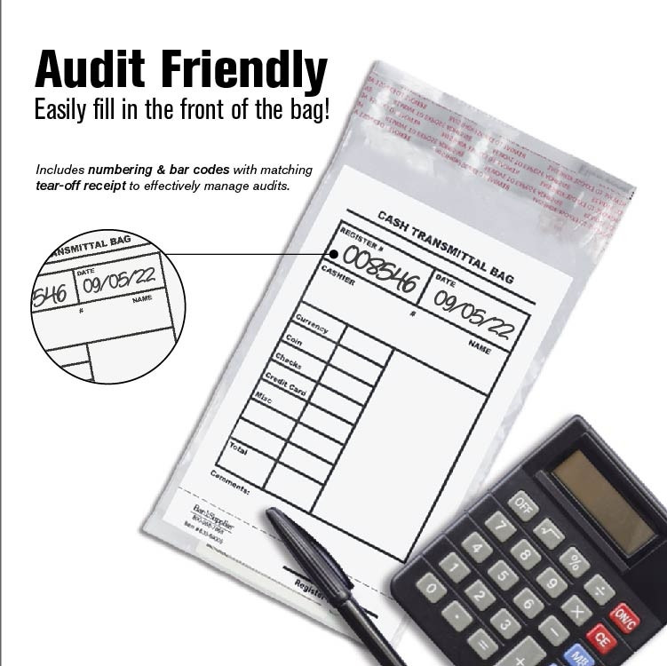 6W x 9H Cash Transmittal Bag