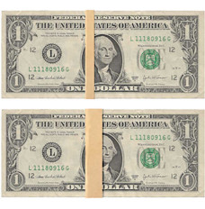 Plain Brown Paper Bill Straps