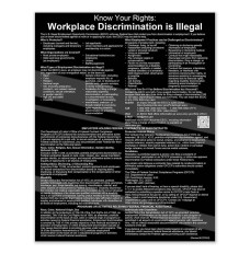 Equal Employment Opportunity (English) 11W x 14H - Gloss Black