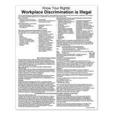 Equal Employment Opportunity (English) 11W x 14H - White
